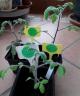 Dateiname: PhotoPictureResizer_220402_153642675.jpg
Größe: 344,96 KB
02.04.22, 15:43