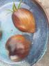 Dateiname: IMG-20220722-WA0000.jpg
Größe: 97,19 KB
22.07.22, 13:16